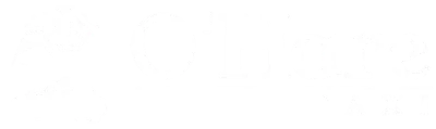Best Taxi Service To O'Hare Airport
